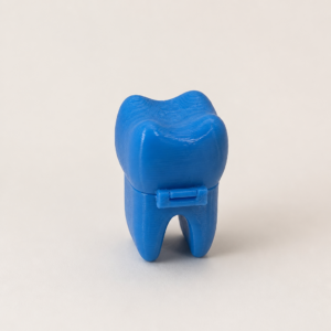 Cajita guarda-dientes para clínicas